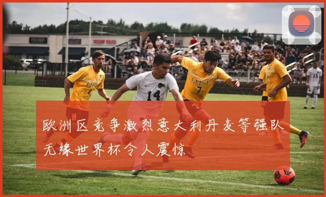 欧洲区竞争激烈意大利丹麦等强队无缘世界杯令人震惊