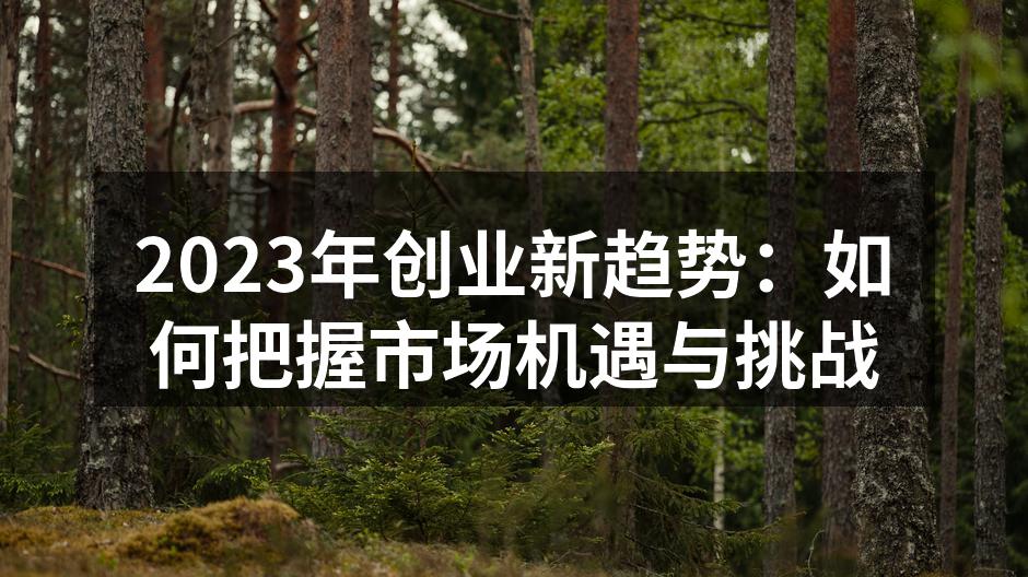 2023年创业新趋势：如何把握市场机遇与挑战